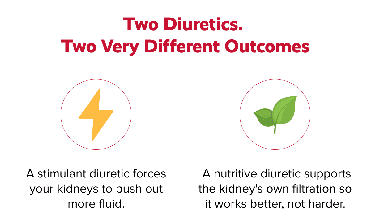 Two diuretics.  Two very different outcomes | A stimulant diuretic forces your kidneys to push out more fluid. | A nutritive diuretic supports the kidney's own filtration so it works better, not harder.