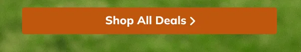25% OFF FOOTWEAR - SHOP NOW!