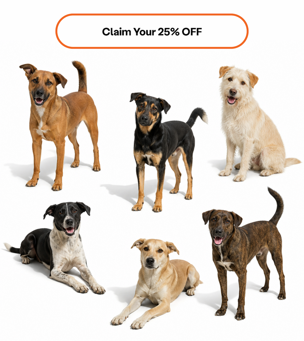 Claim Your 25% OFF 