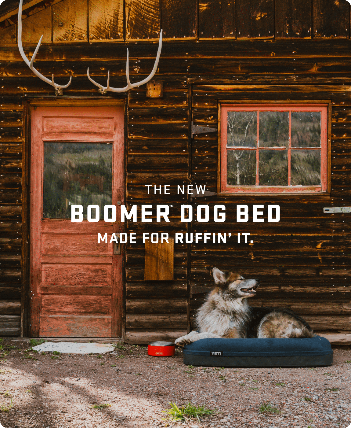The New Boomer™ Dog Bed