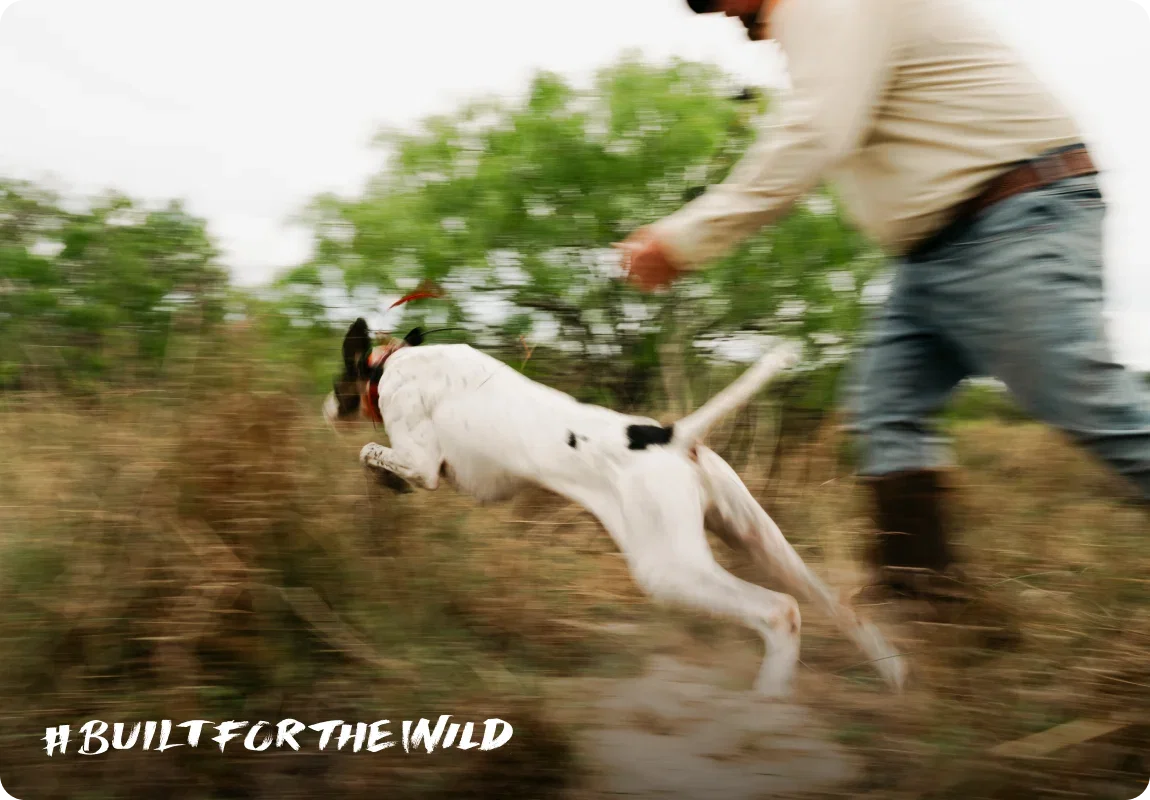 Built For The Wild