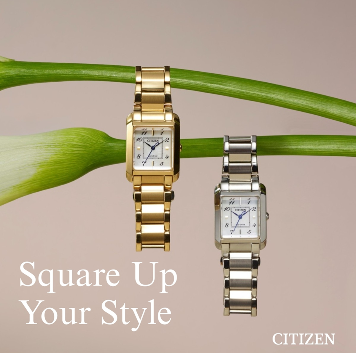 Citizen Bianca