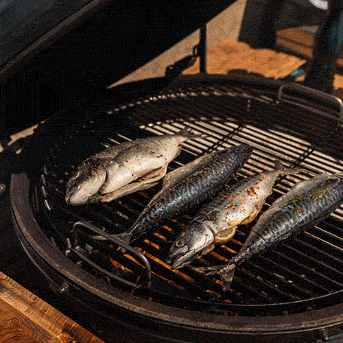 Seafood Recipes