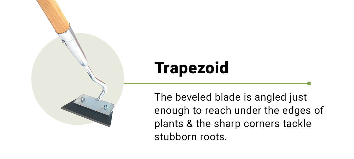 Trapezoid Hoes - Shop Now