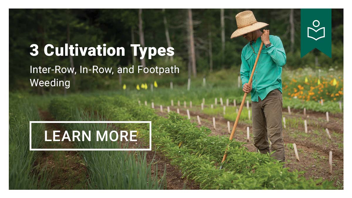 3 Cultivation Types - Learn More