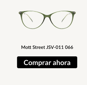 Mott Street JSV-011 066