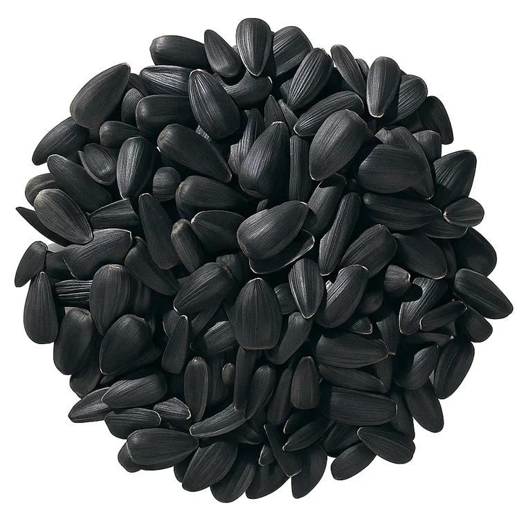 Image of Duncraft Black Oil Sunflower Wild Bird Seed, 5-lb bag