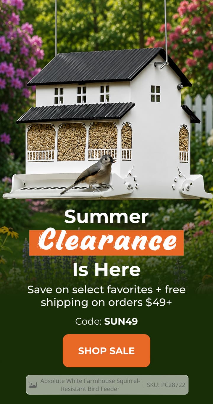 Summer Clearance Is Here