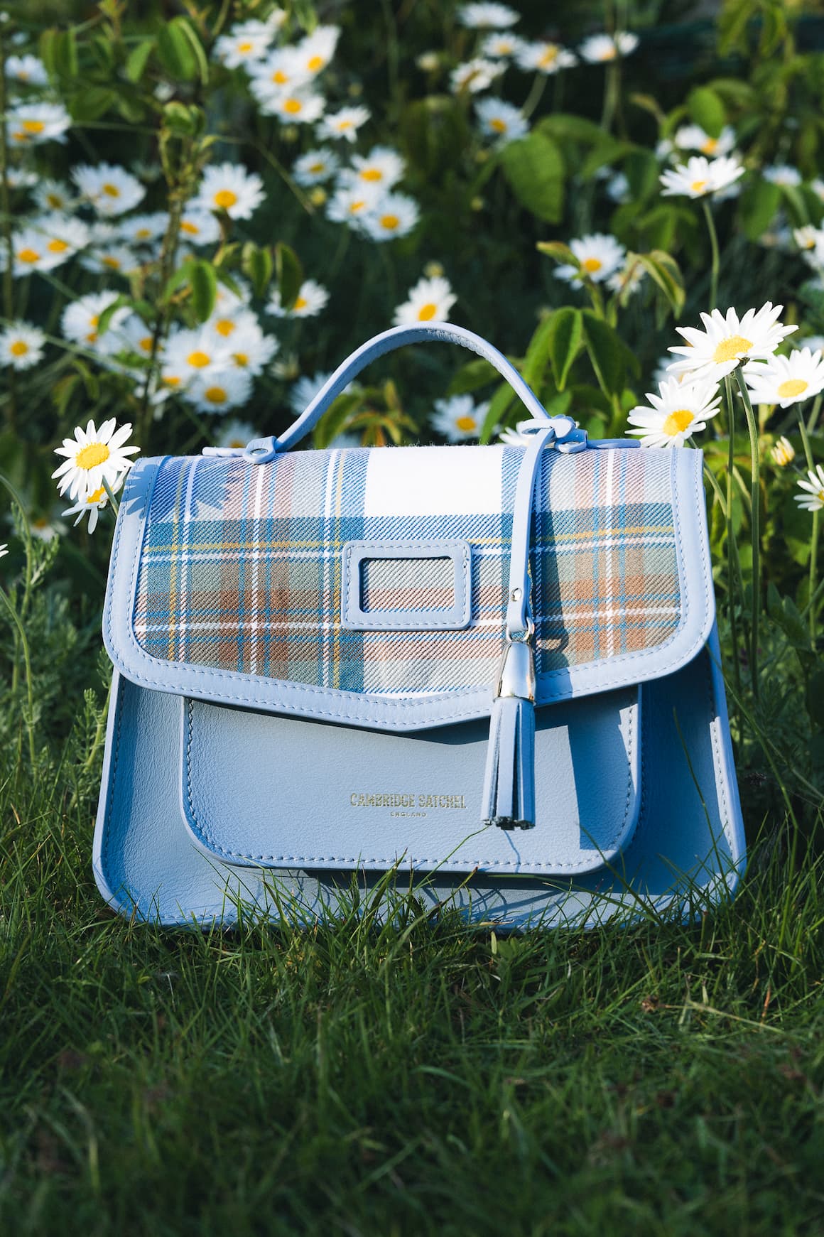 Meadow Collection