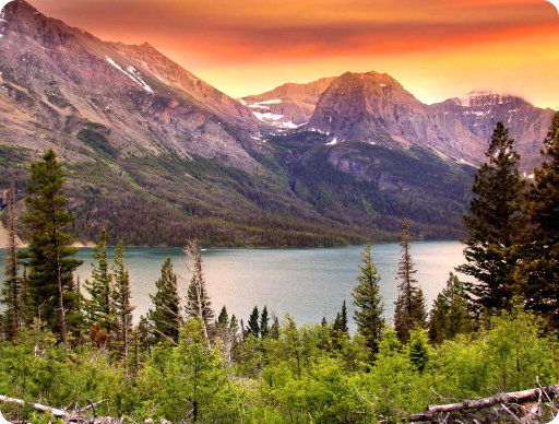 Give back to the parks - Donate Choice Privileges points to support America's national parks
