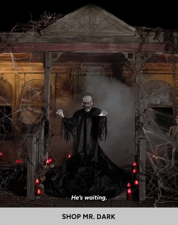 Shop Mr. Dark