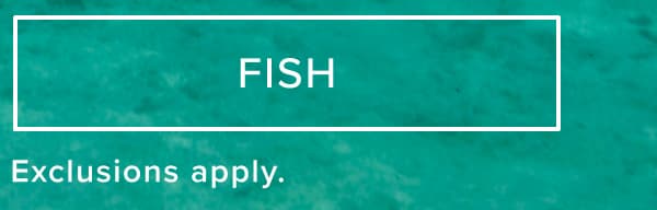 Shop Fly Fishing Sale