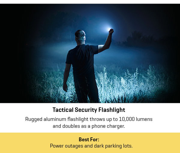 Tactical Security Flashlight