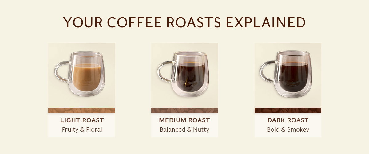 banner with light, medium and dark roast coffees and 'your coffee roasts explained'