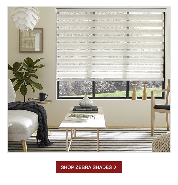 SHOP ZEBRA SHADES >