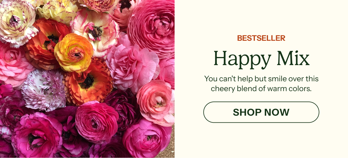 Happy Mix