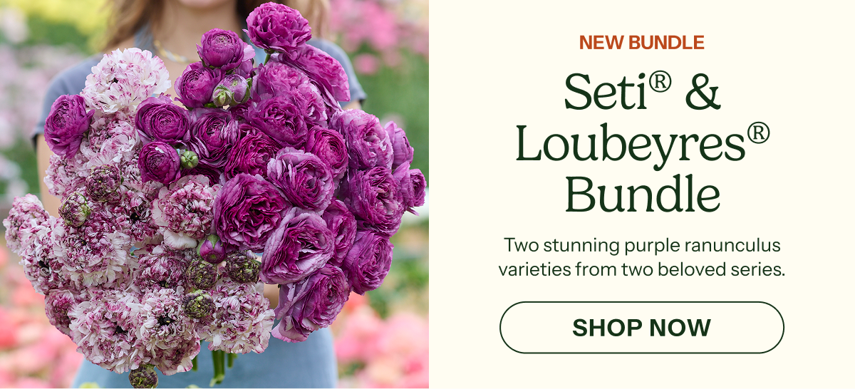 Seti® & Loubeyres® Bundle