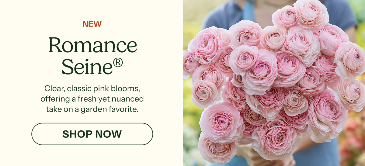 Romance Seine®