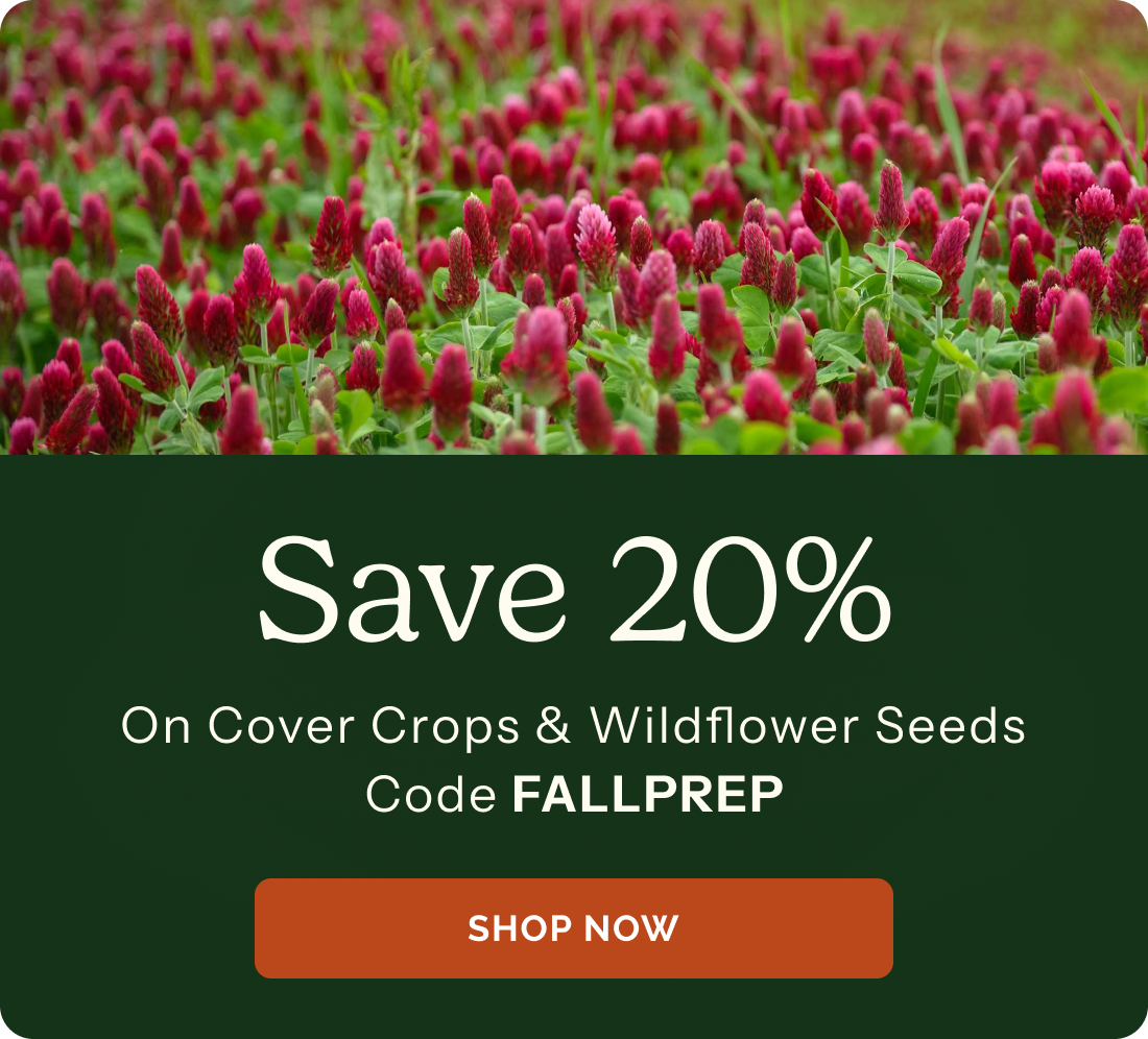 Save 20% On cover crop & wildflower seeds! Code FALLPREP