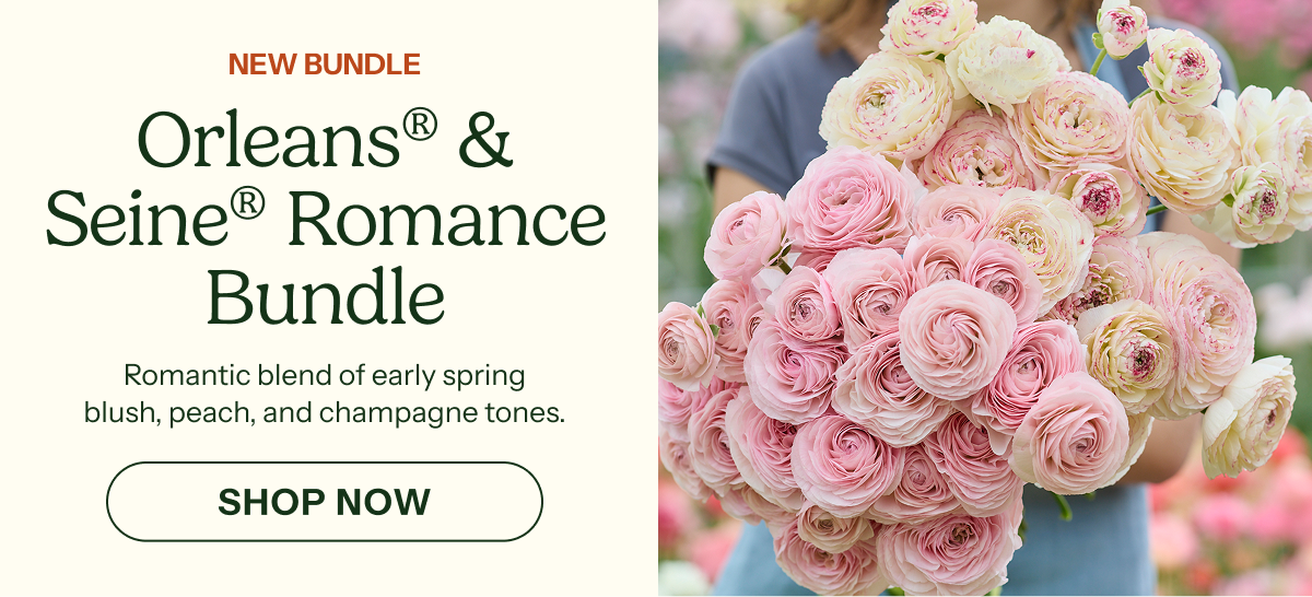 Orleans® & Seine® Romance Bundle