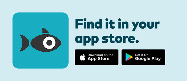 Find it in your app store. Download on the app store. Get it on Google Play.