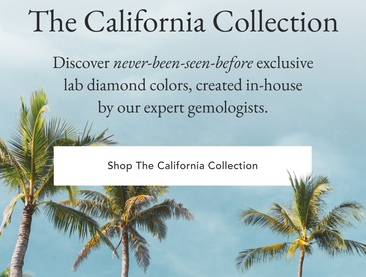 Shop The California Collection