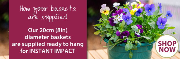 How your baskets are supplied
