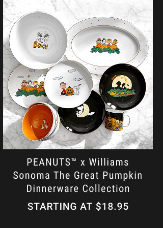 PEANUTS™ x Williams Sonoma The Great Pumpkin Dinnerware Collection - Starting at $18.95