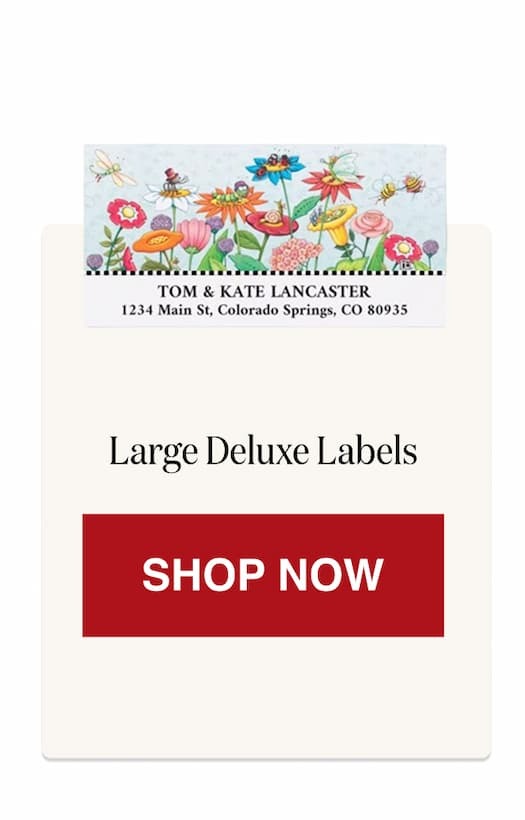 Large Deluxe [Click here to Shop Now]