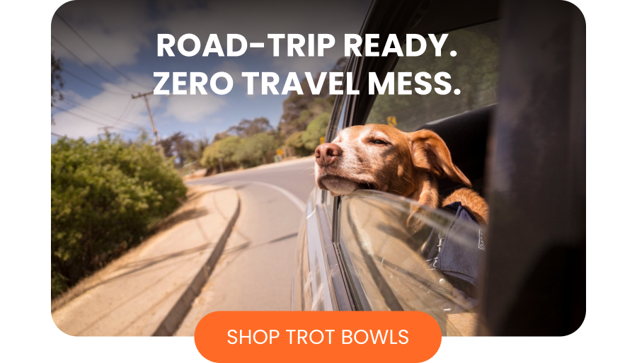 Road-trip ready. Zero travel mess.