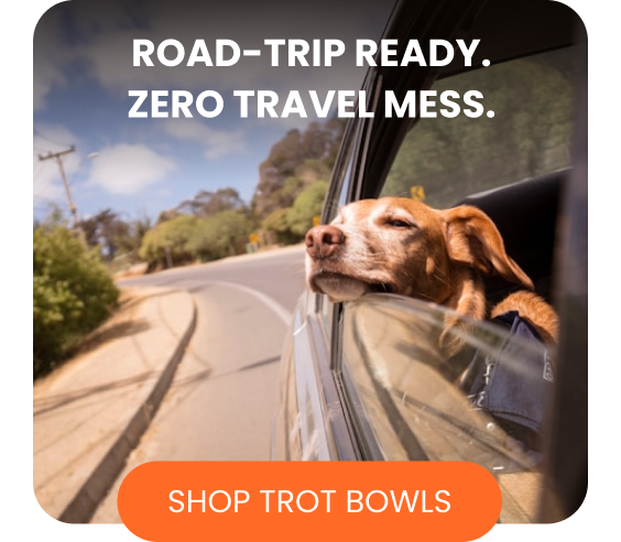 Road-trip ready. Zero travel mess.