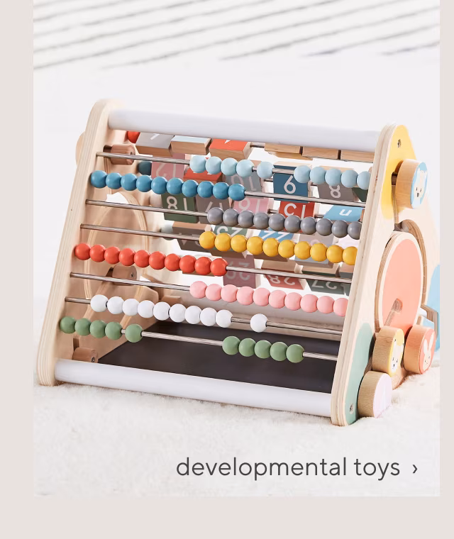 developmental toys