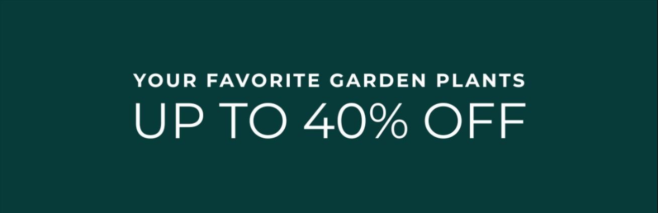 PLANTS UP TO 40% OFF