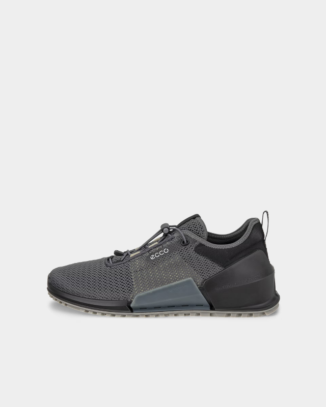 ECCO Biom 2.0