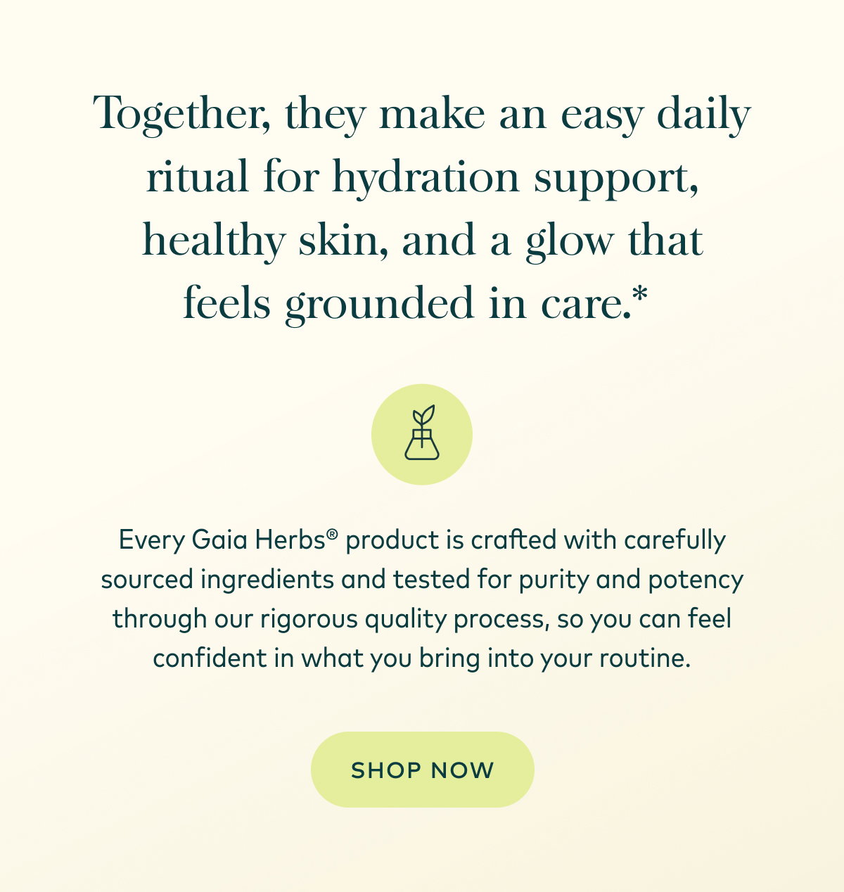 Shop The Routine