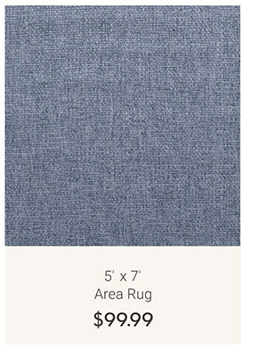 5'  x 7' Area Rug