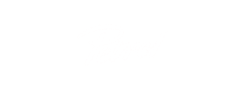 Petrol