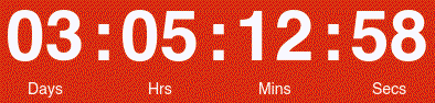 Countdown Timer