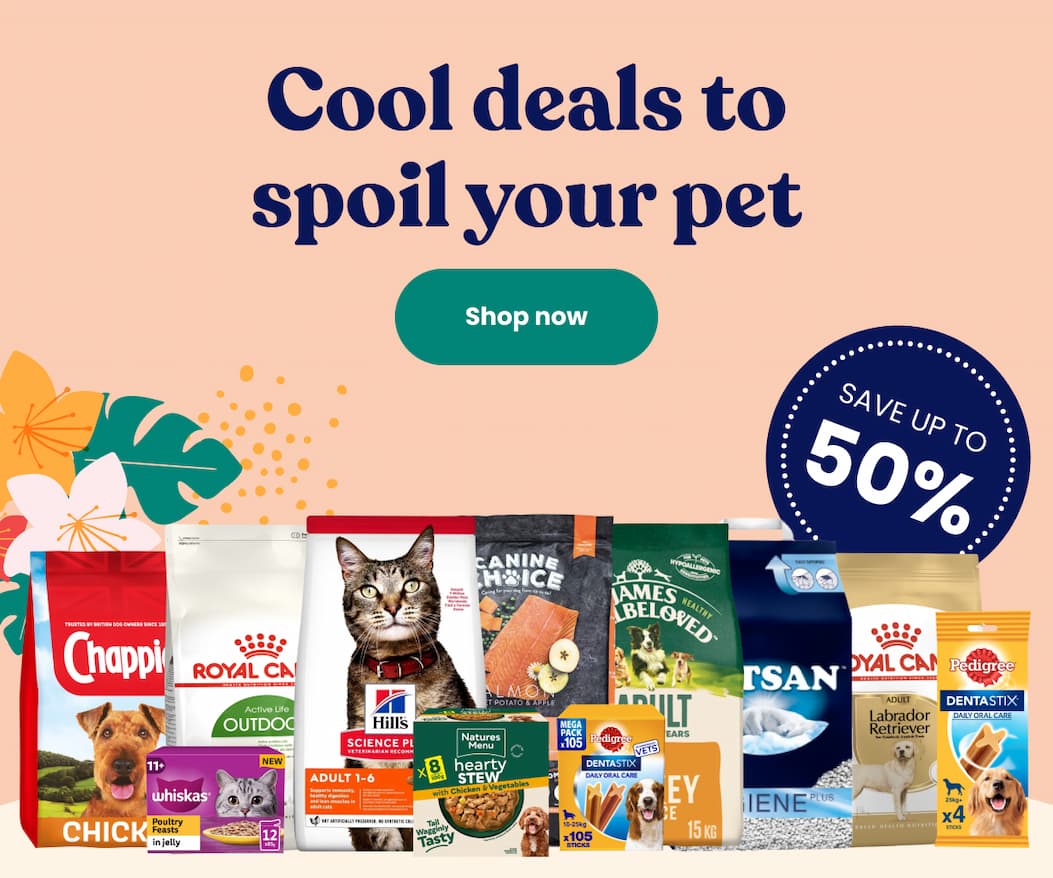 Cool deals to spoil your pet. Save up to 50%