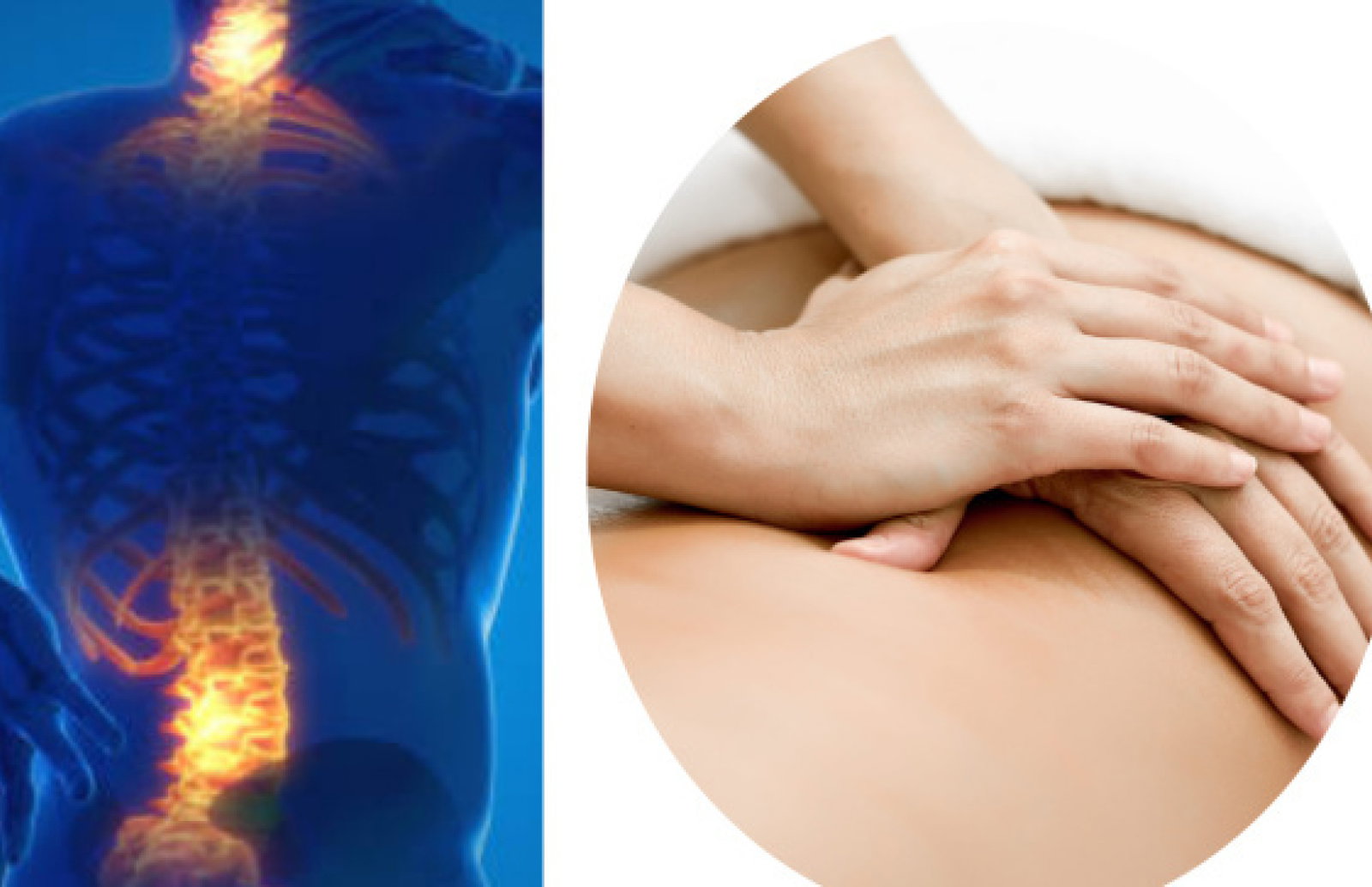 Fisio Salud