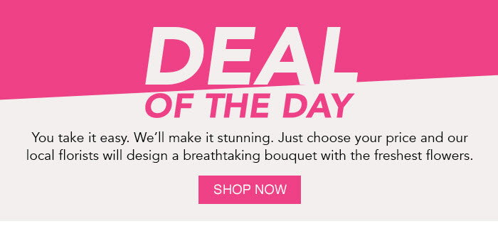Deal of the Day