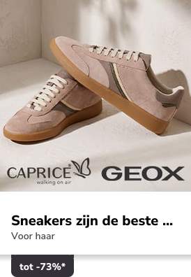 Campaign 6