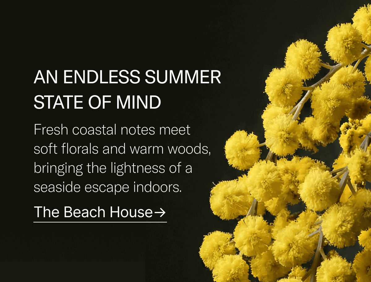 An endless summer state of mind