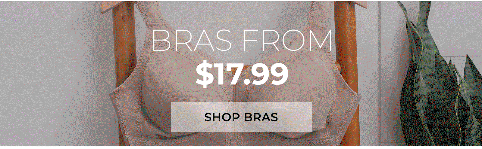 Shop Bras