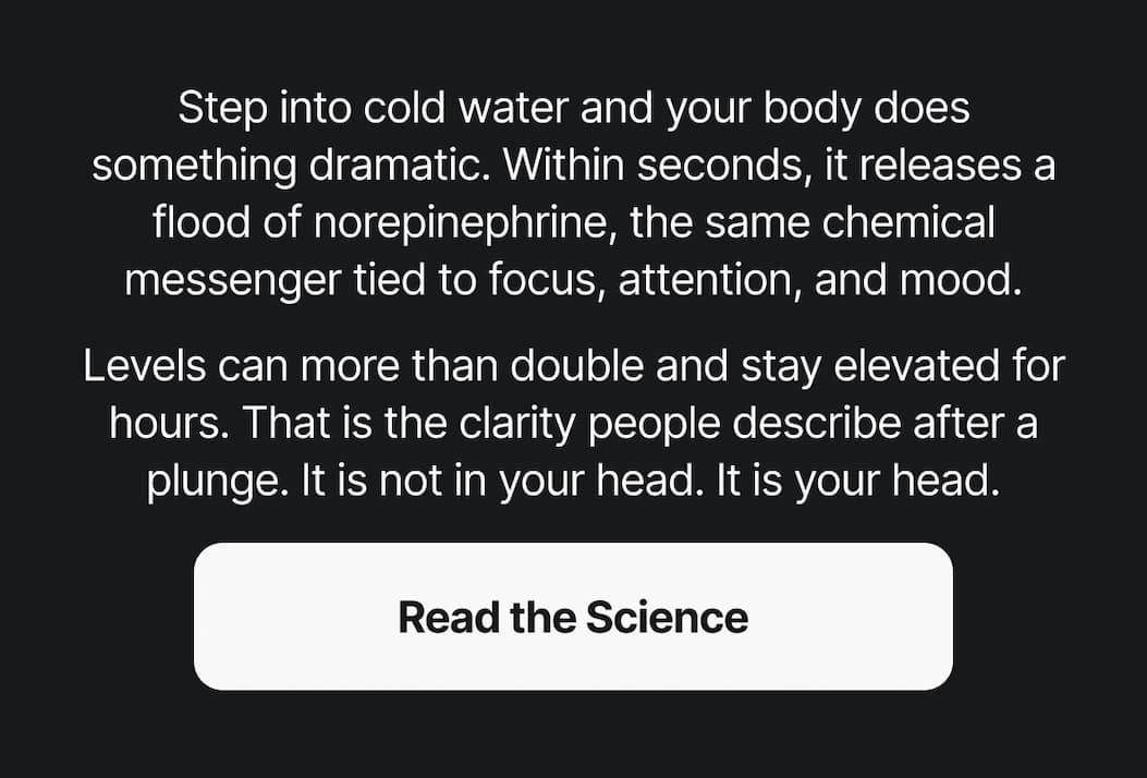 Step into cold water and your body does something dramatic. Within seconds, it releases a flood of norepinephrine, the same chemical messenger tied to focus, attention, and mood.