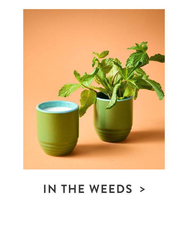 SHOP IN THE WEEDS KIT >