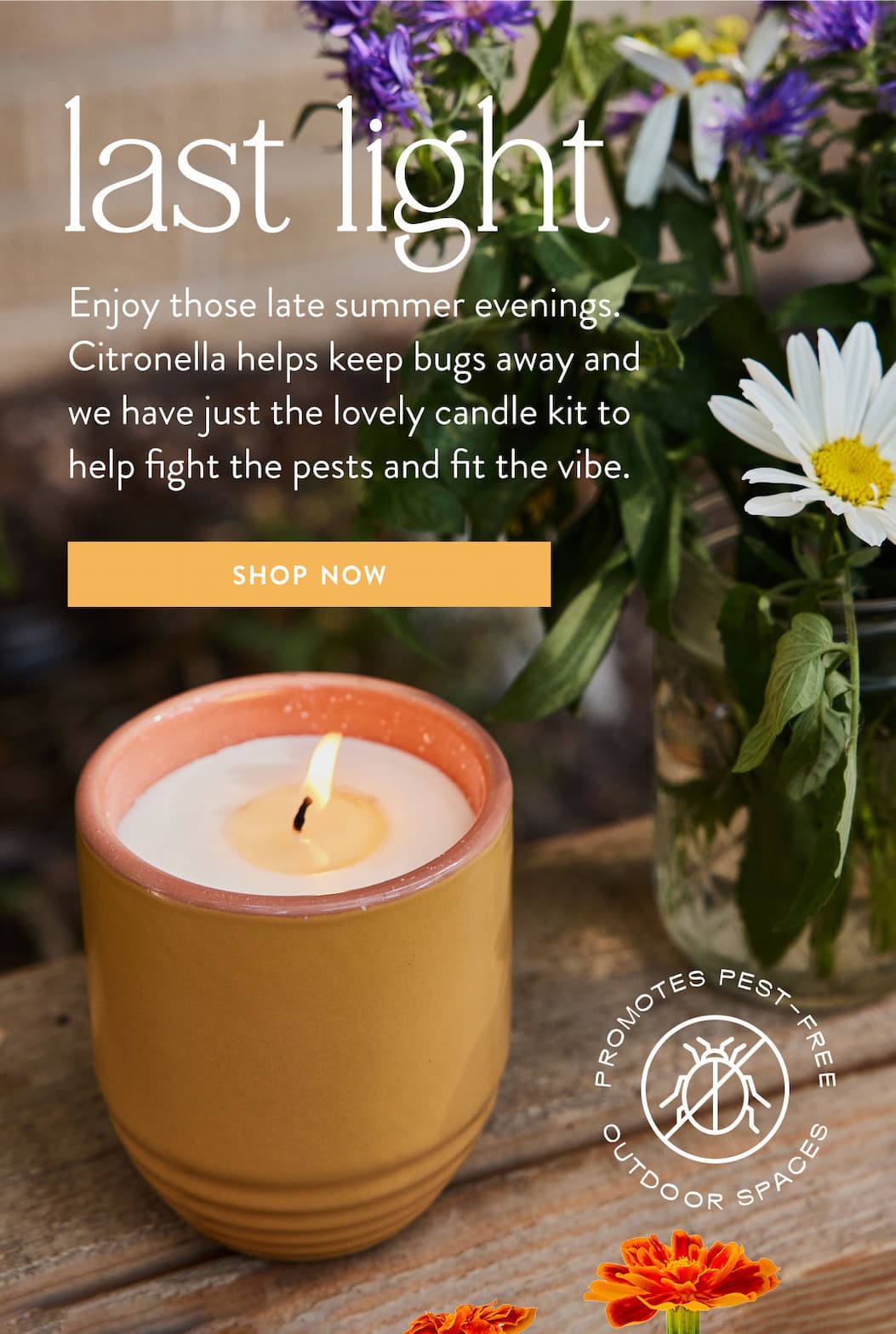 Last Light: Enjoy those late summer evenings. Citronella helps keep bugs away and we have just the lovely candle kit to help fight the pests and fit the vibe. SHOP NOW >