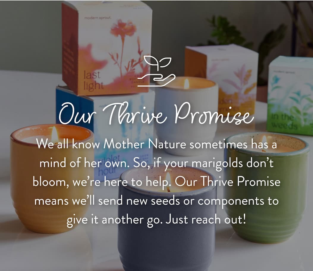 Our Thrive Promise: We all know Mother Nature sometimes has a mind of her own. So, if your marigolds don’t bloom, we’re here to help. Our Thrive Promise means we’ll send new seeds or components to give it another go. Just reach out!