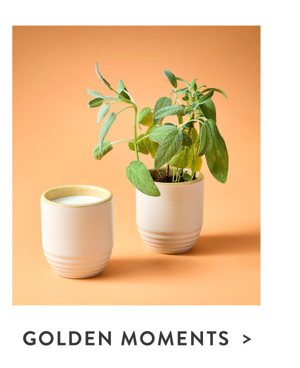 SHOP GOLDEN MOMENTS KIT >