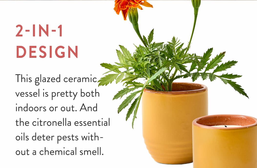 2-in-1 Design: This glazed ceramic vessel is pretty both indoors or out. And the citronella essential oils deter pests without a chemical smell.